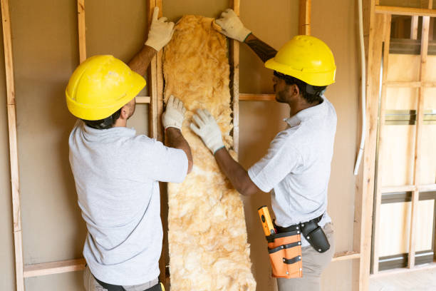 Professional Insulation Installation & Removal in Oldsmar, FL